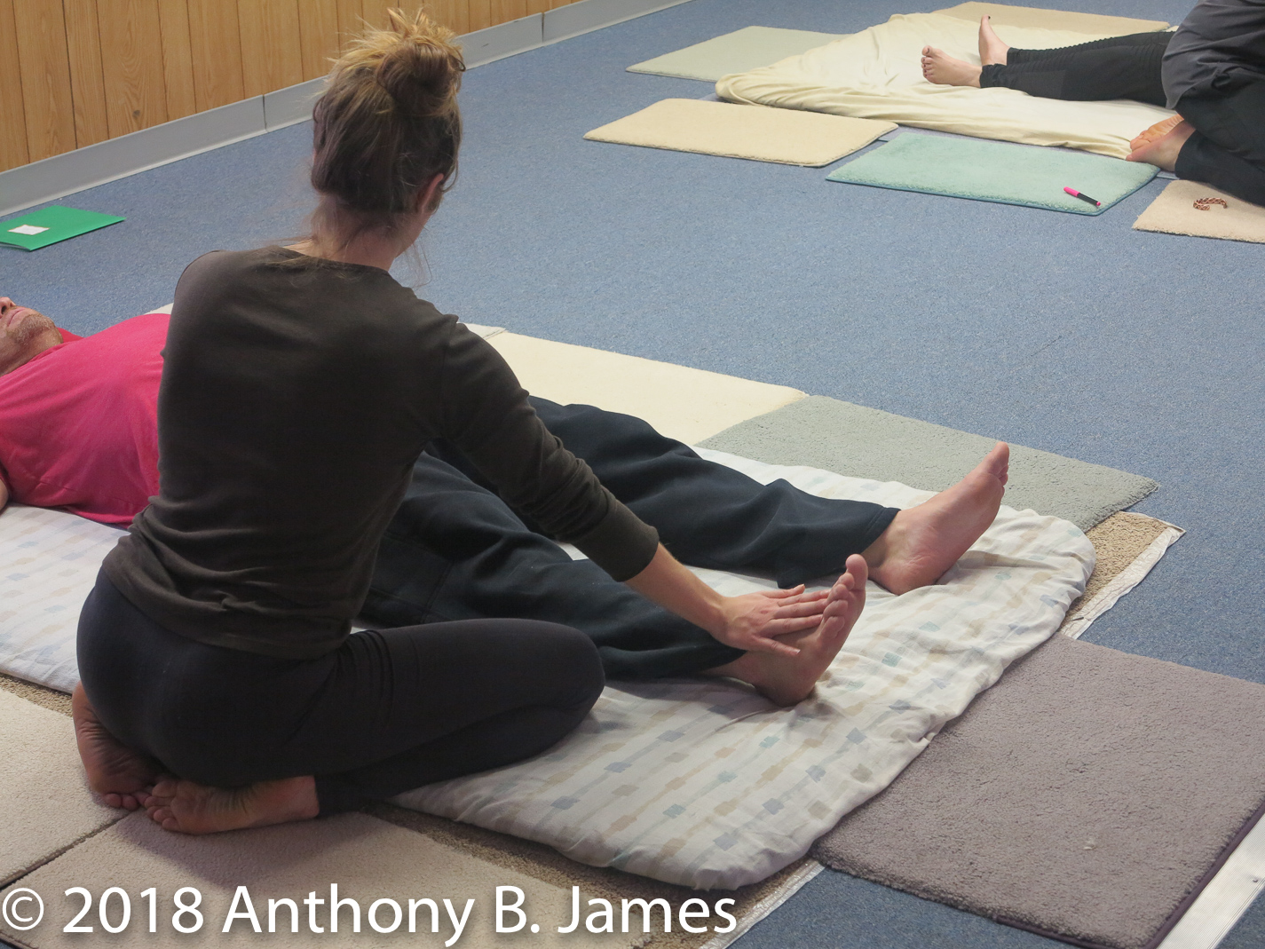 January 2018 SomaVeda® Thai Yoga Practitioner Certificate Class
