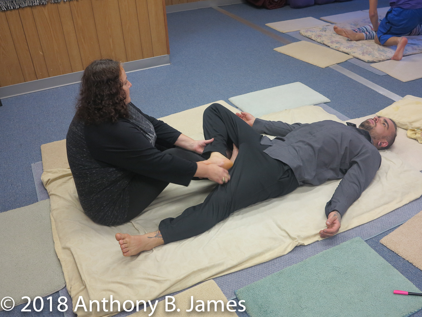 January 2018 SomaVeda® Thai Yoga Practitioner Certificate Class