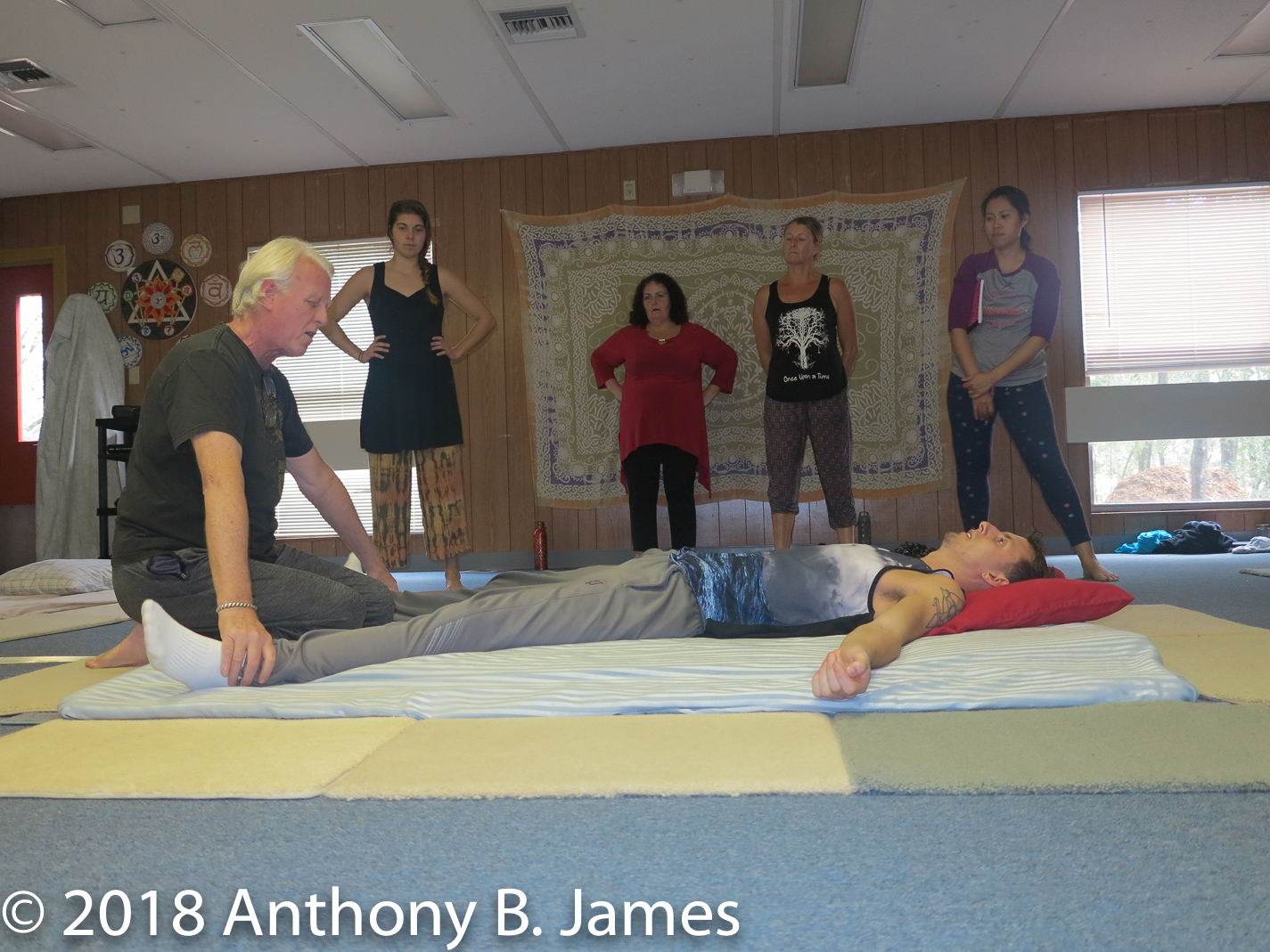 January 2018 SomaVeda® Thai Yoga Practitioner Certificate Class