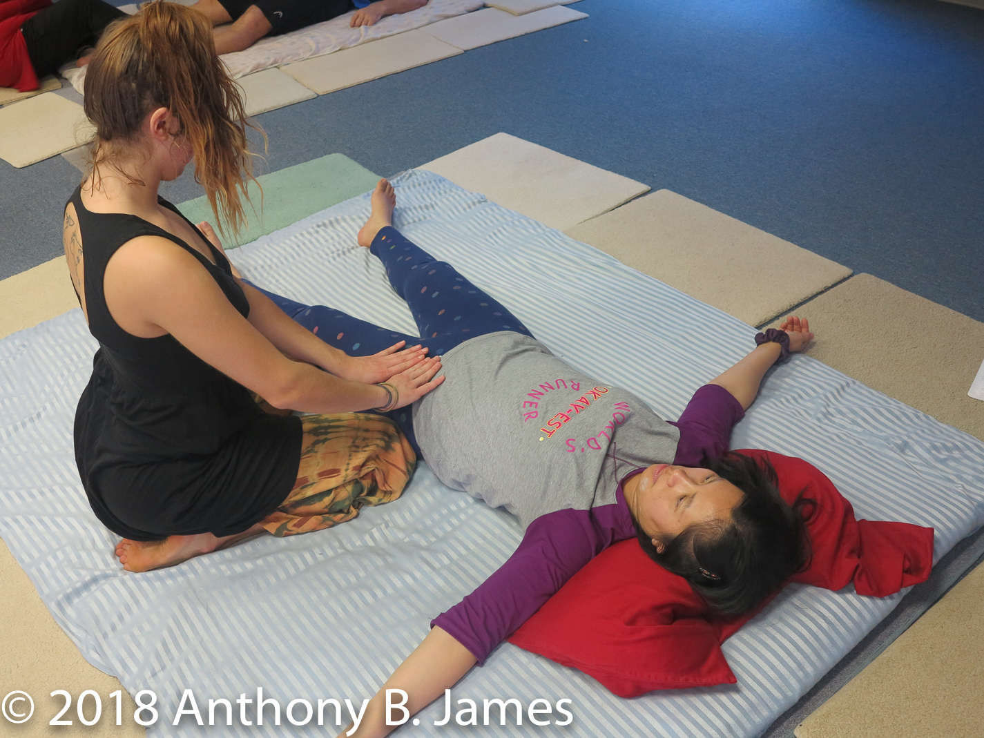 January 2018 SomaVeda® Thai Yoga Practitioner Certificate Class