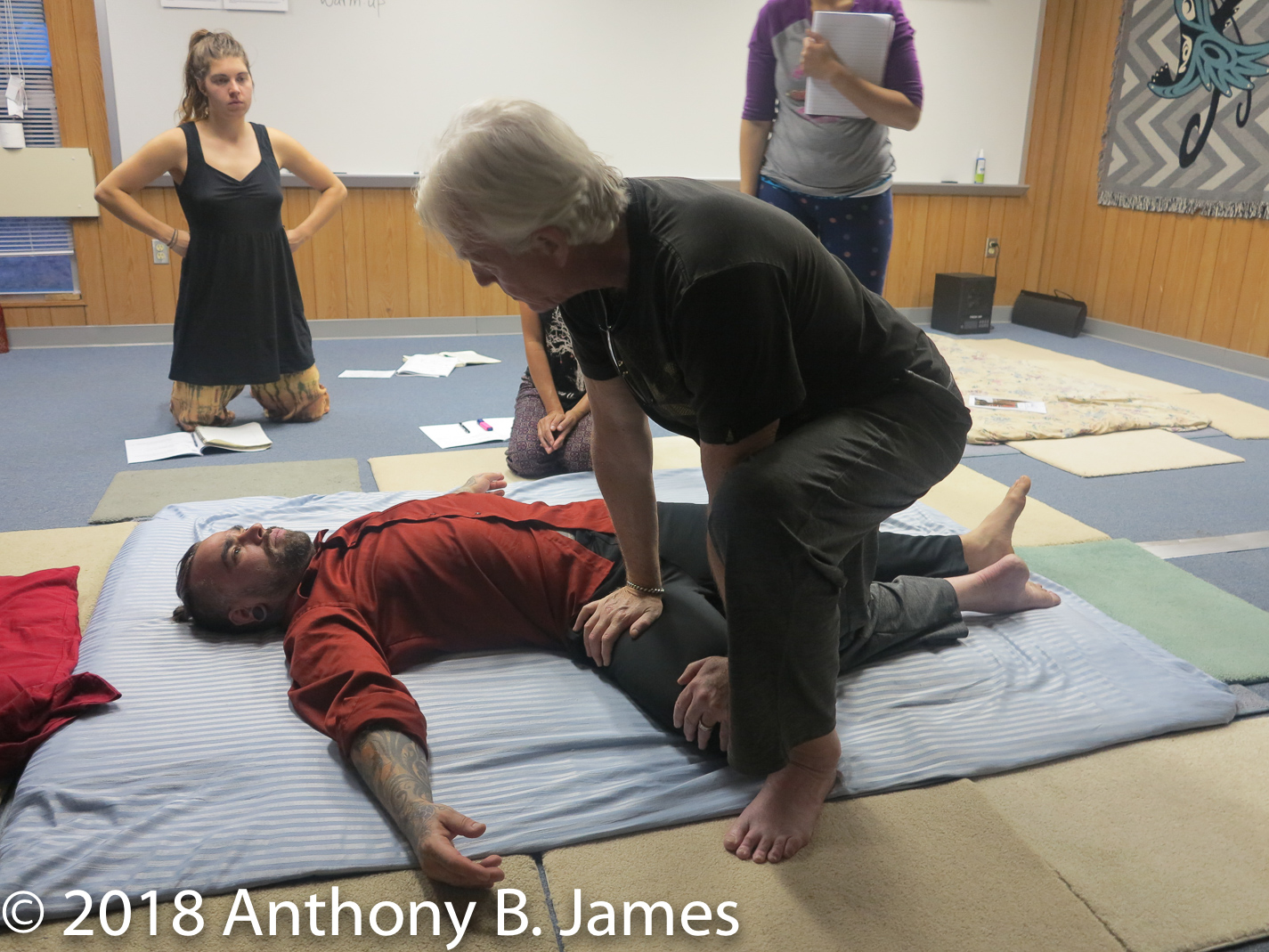 January 2018 SomaVeda® Thai Yoga Practitioner Certificate Class