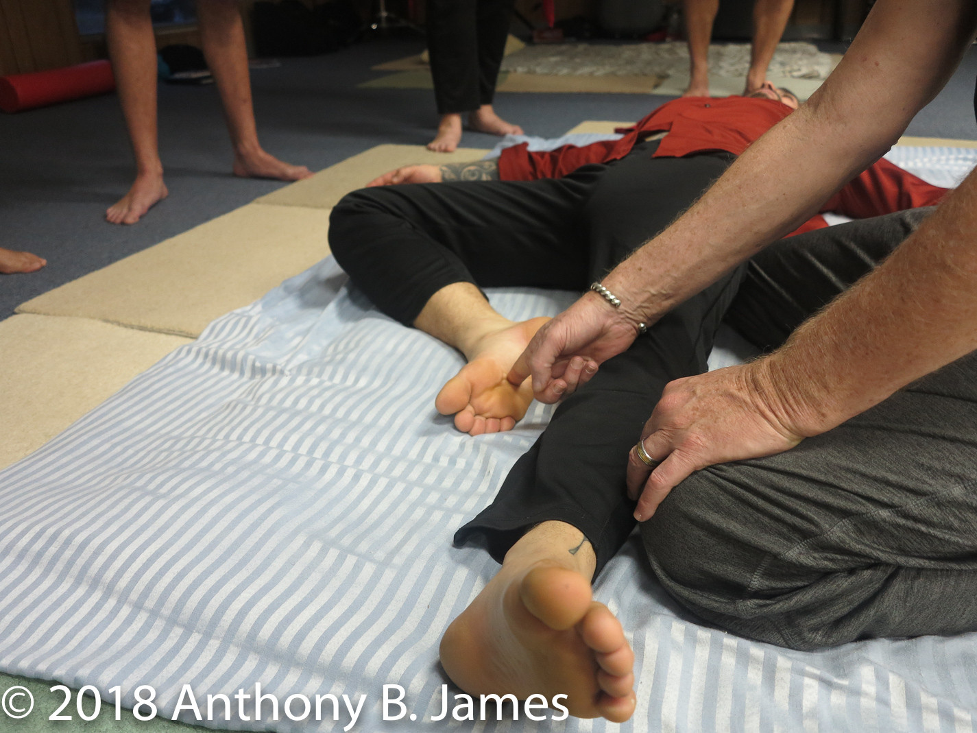 January 2018 SomaVeda® Thai Yoga Practitioner Certificate Class