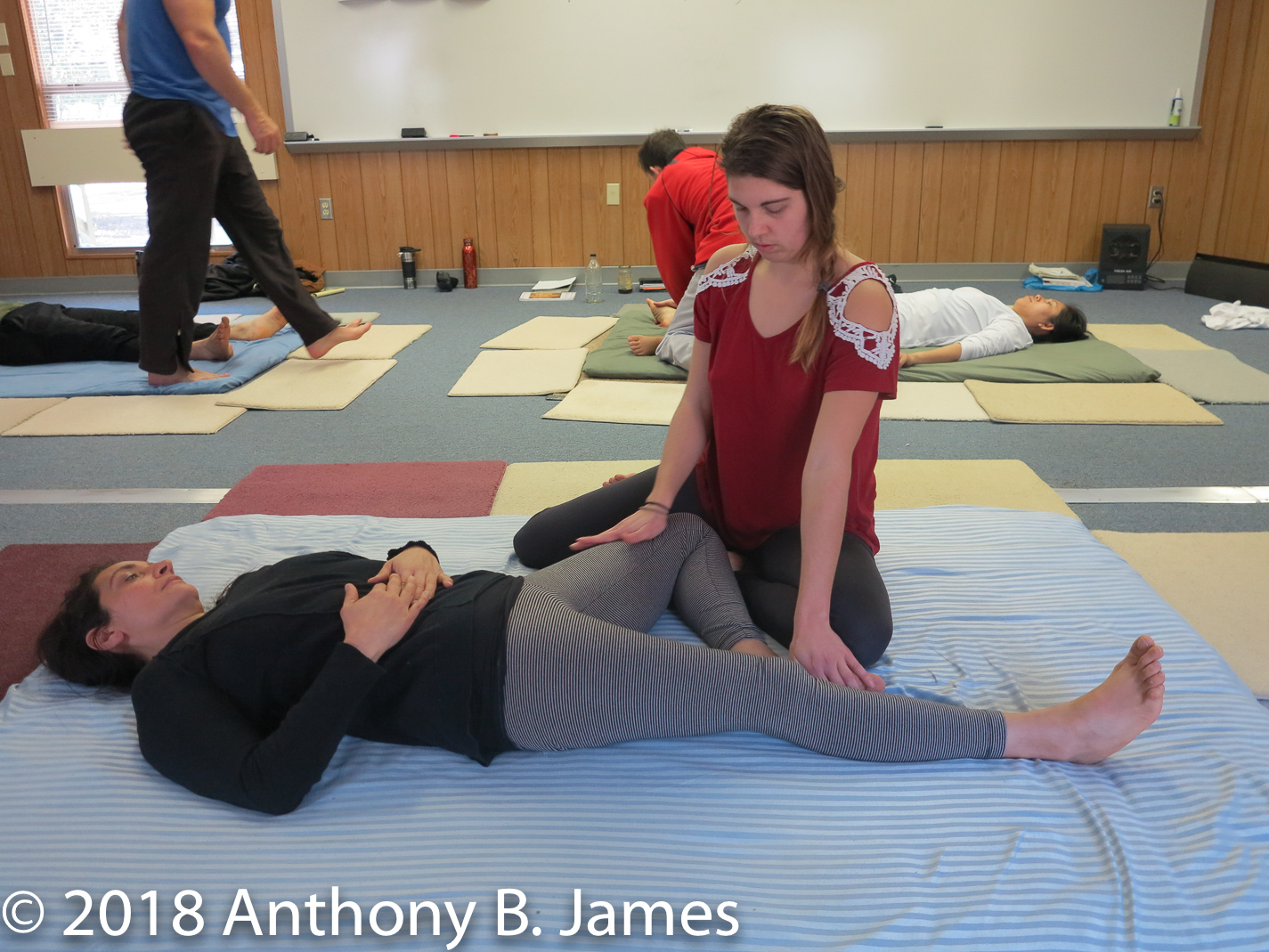January 2018 SomaVeda® Thai Yoga Practitioner Certificate Class