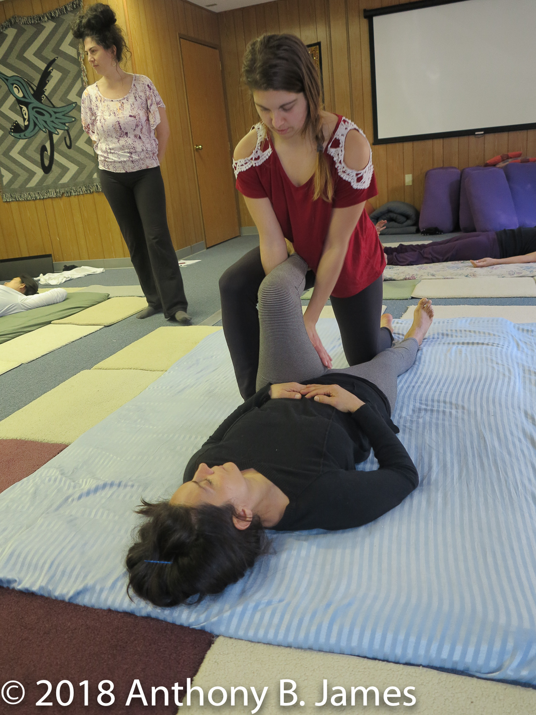 January 2018 SomaVeda® Thai Yoga Practitioner Certificate Class