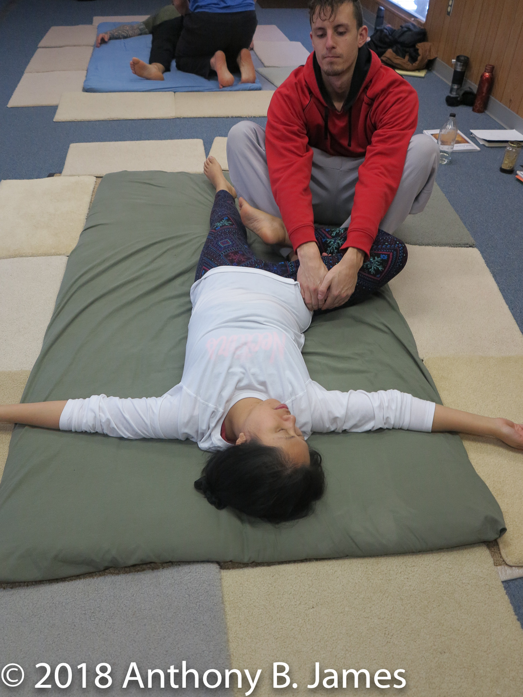 January 2018 SomaVeda® Thai Yoga Practitioner Certificate Class
