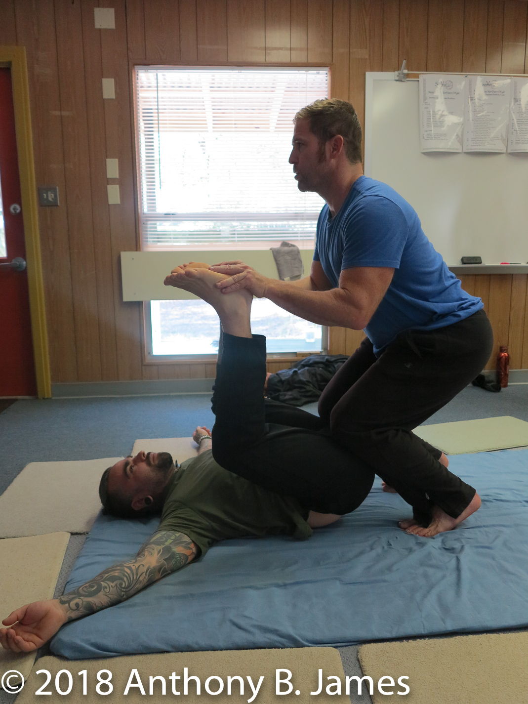 January 2018 SomaVeda® Thai Yoga Practitioner Certificate Class