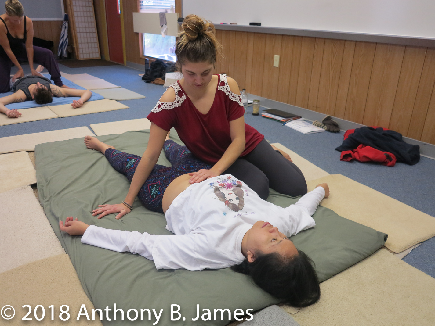 January 2018 SomaVeda® Thai Yoga Practitioner Certificate Class