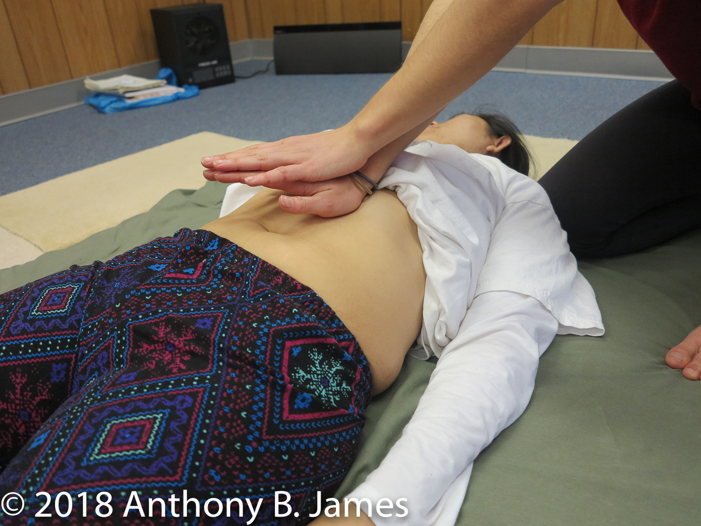 January 2018 SomaVeda® Thai Yoga Practitioner Certificate Class