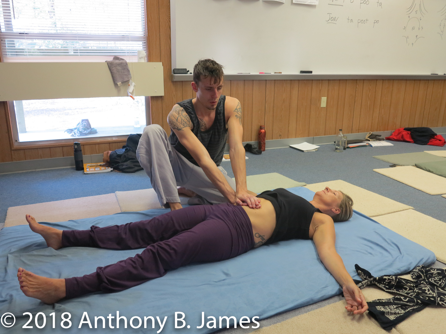 January 2018 SomaVeda® Thai Yoga Practitioner Certificate Class