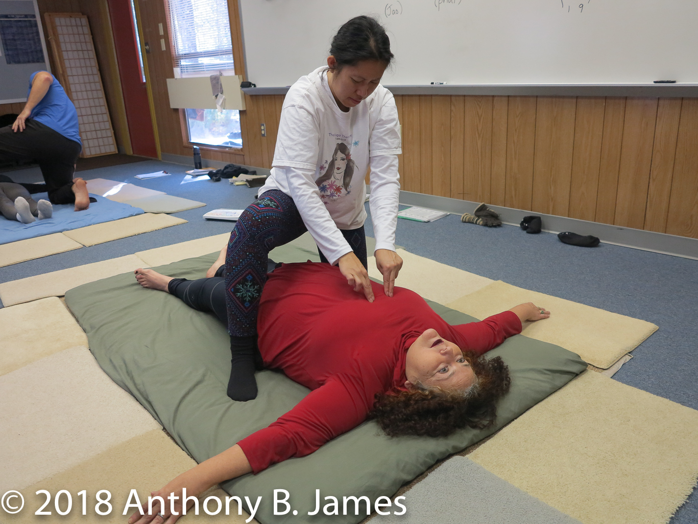 January 2018 SomaVeda® Thai Yoga Practitioner Certificate Class