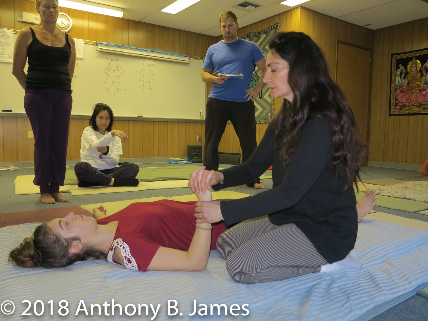 January 2018 SomaVeda® Thai Yoga Practitioner Certificate Class