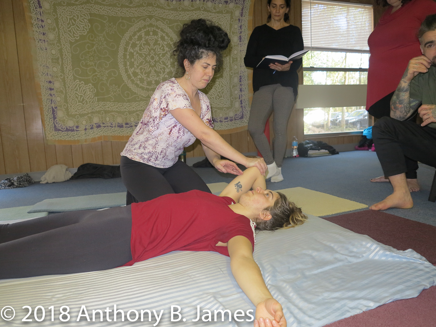 January 2018 SomaVeda® Thai Yoga Practitioner Certificate Class