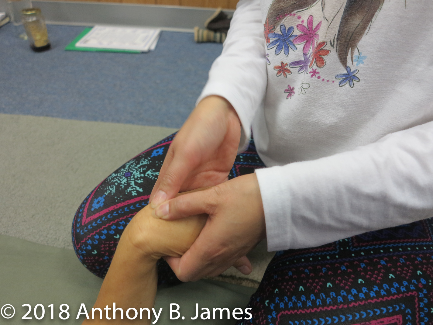 January 2018 SomaVeda® Thai Yoga Practitioner Certificate Class