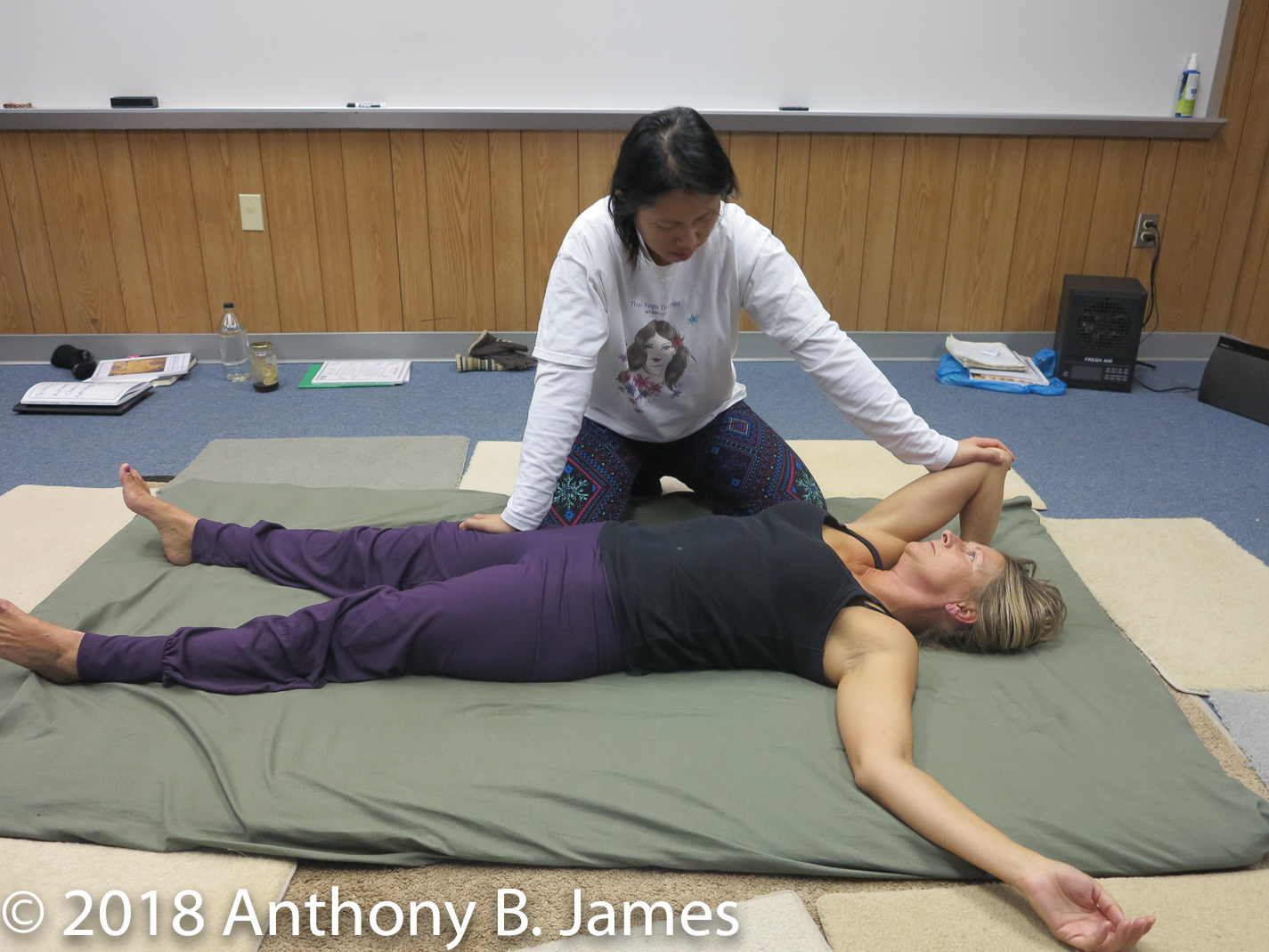 January 2018 SomaVeda® Thai Yoga Practitioner Certificate Class