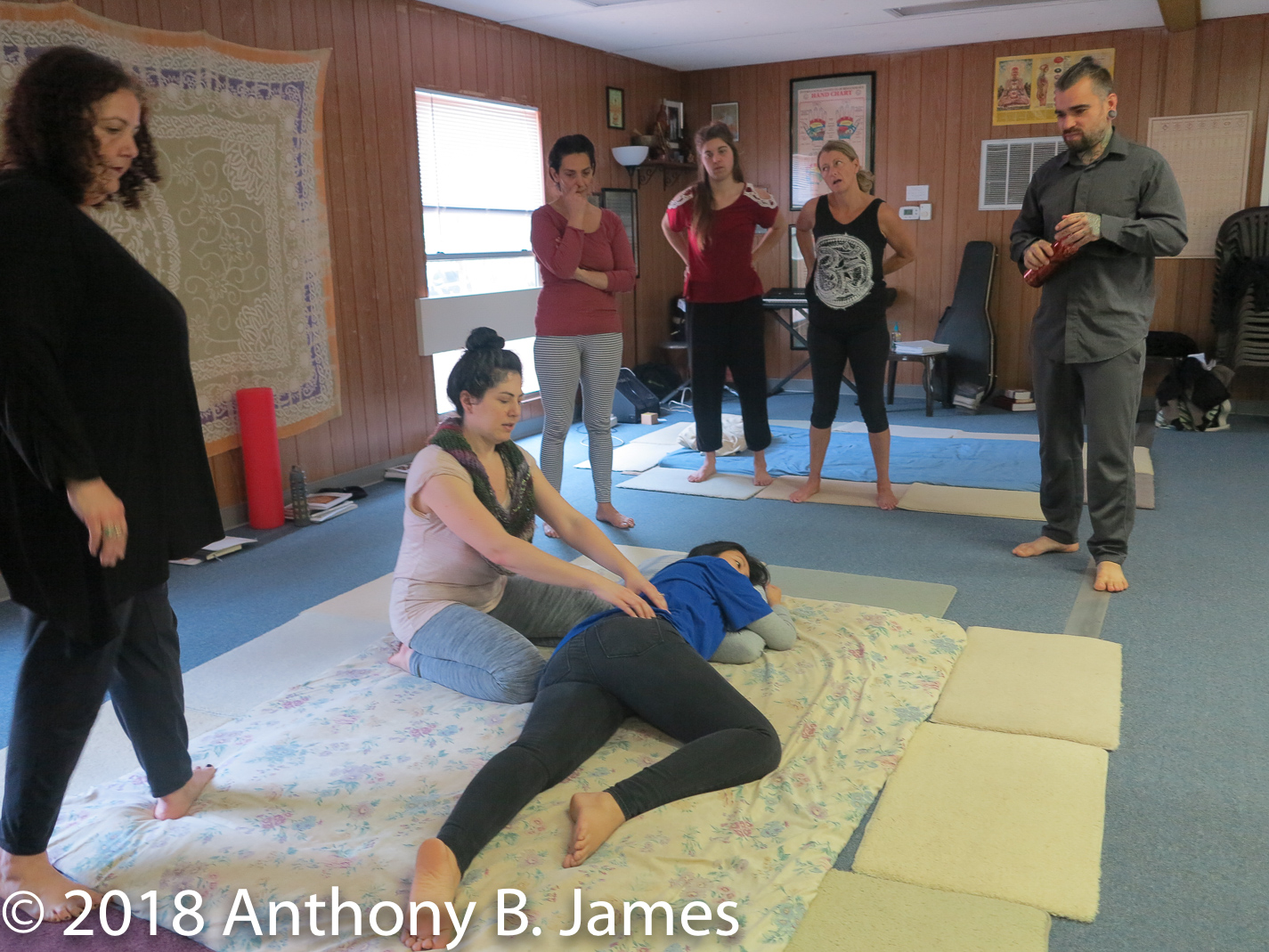 January 2018 SomaVeda® Thai Yoga Practitioner Certificate Class