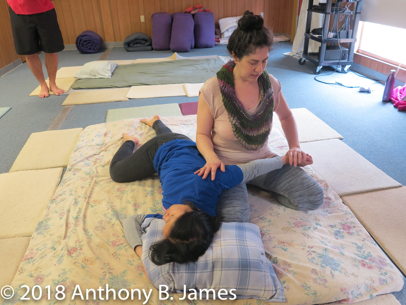 January 2018 SomaVeda® Thai Yoga Practitioner Certificate Class
