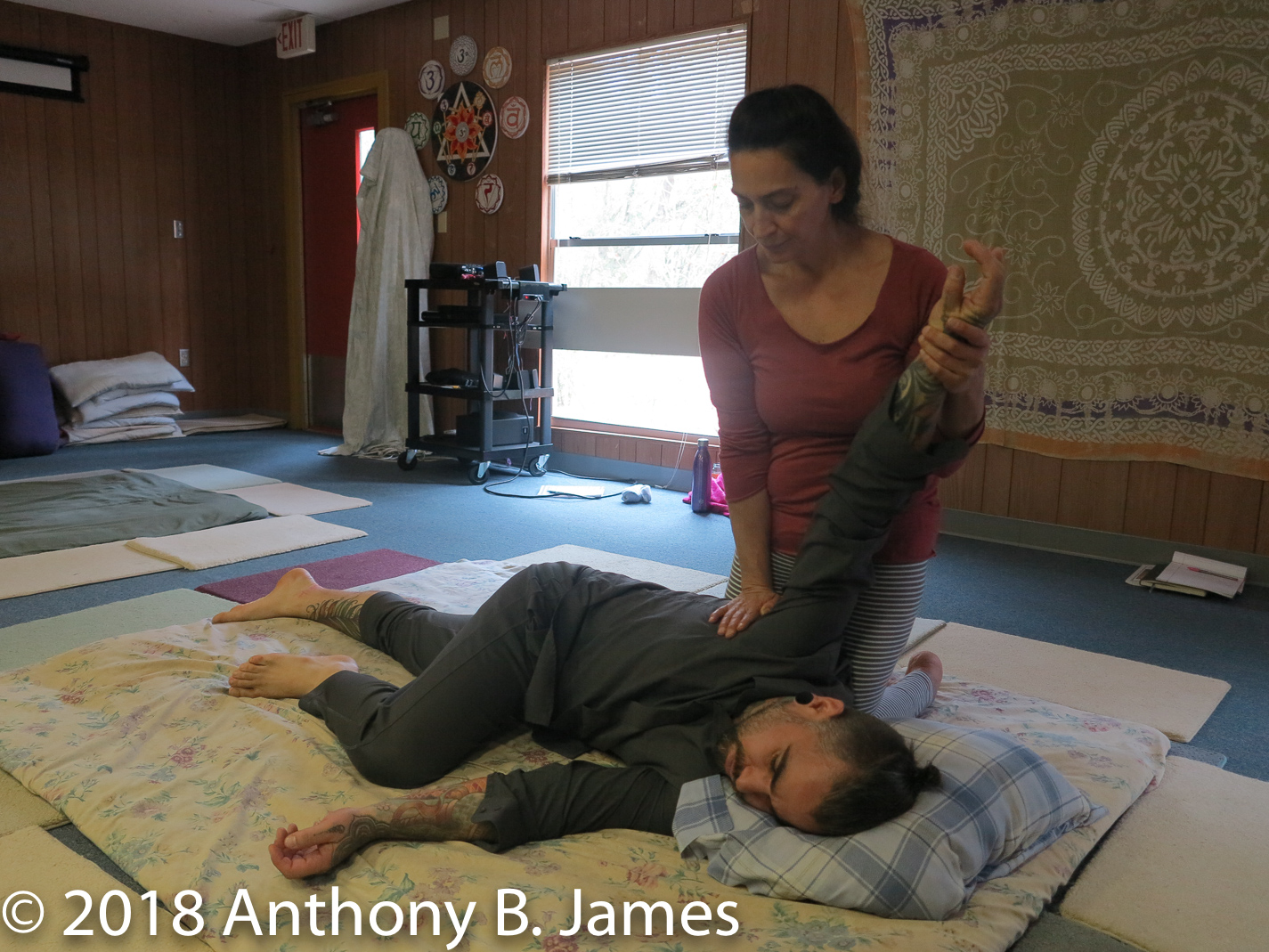 January 2018 SomaVeda® Thai Yoga Practitioner Certificate Class